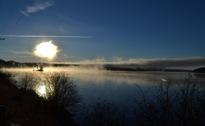 A pictorial Interlude